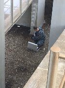 
                    «Сапсан» сбил насмерть двух человек в Алабушево          