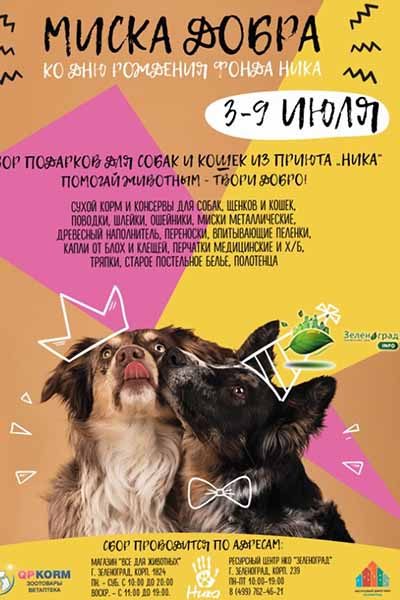 lekarstv-i-predmetov-gigieny-dlya-zelenogradskogo-priyuta-bezdomny-h-zhivotny-h