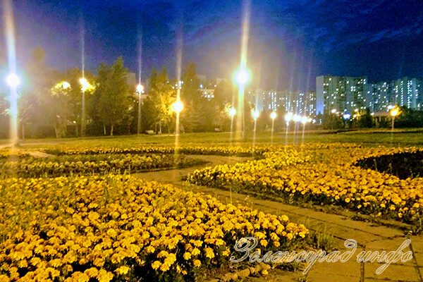 zelenograd-info-zhara-posle-potopa-3