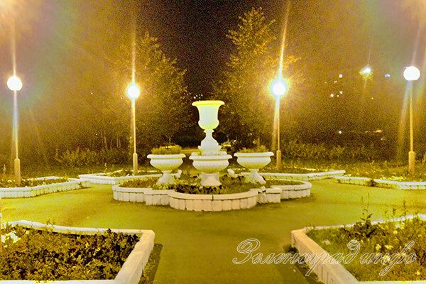 zelenograd-info-zhara-posle-potopa-5