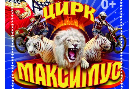 
                    Цирк «Максимус» приглашает на большую программу «Королевство белых тигров» в торговом парке «Отрада»          