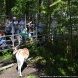Московская комиссия оценила объекты благоустройства в Зеленограде