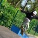 В Зеленограде прошел Открытый чемпионат по скейтбордингу