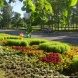Общественные пространства Зеленограда украсили более 210 тысяч цветов