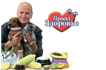 
                    В интернет-магазине «Дог-маркет» продается диетическое питание для кошек и собак          