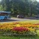 Общественные пространства Зеленограда украсили более 210 тысяч цветов