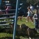 Зеленоградский приют предоставляет возможность провести время с животными