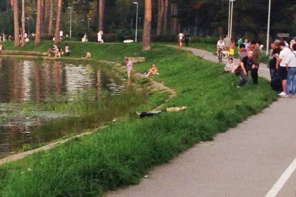 На берегу Школьного озера скончался мужчина na-beregu-shkol-nogo-ozera-skonchalsya-muzhchina