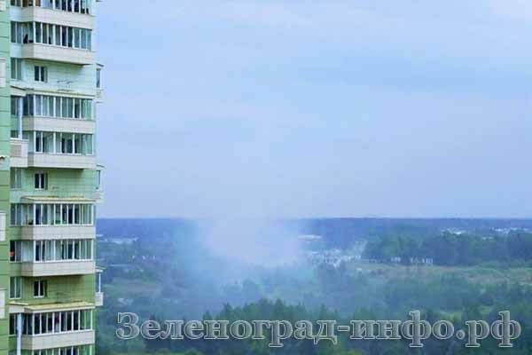 zelenograd-v-dy-mu-23-08-17-2