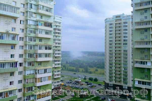 zelenograd-v-dy-mu-23-08-17-3