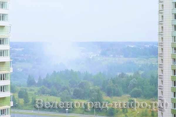 zelenograd-v-dy-mu-23-08-17-5
