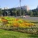 Общественные пространства Зеленограда украсили более 210 тысяч цветов