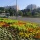 Общественные пространства Зеленограда украсили более 210 тысяч цветов
