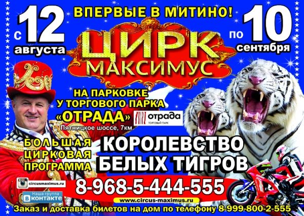 
                    Цирк «Максимус» приглашает на большую программу «Королевство белых тигров» в торговом парке «Отрада»          