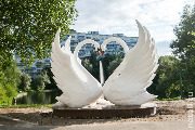
                    В гостях у Забиваки          