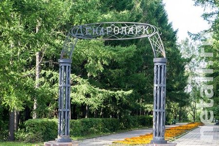 
                    Для зеленоградцев проведут экскурсию по дендропарку          