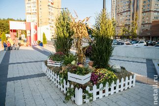 
                    «Золотая осень» на площади Юности          
