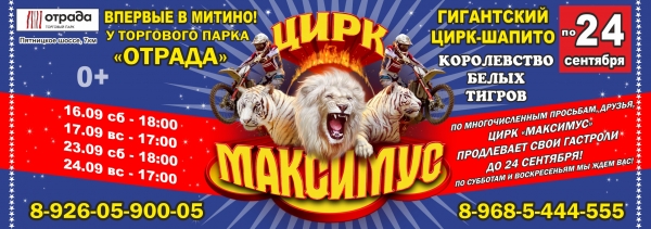 
                    Цирк «Максимус» продлевает гастроли с программой «Королевство белых тигров» до 24 сентября          