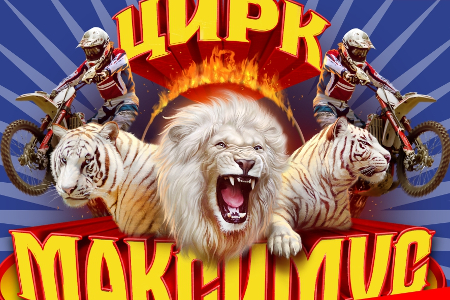 
                    Цирк «Максимус» продлевает гастроли с программой «Королевство белых тигров» до 24 сентября          