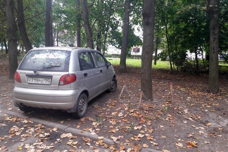 
                    «Слоны» на колесах          