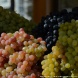 Зеленоградцы смогут попробовать «Золотую осень» на вкус