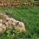 В 14 микрорайоне Зеленограда завершено создание парка «Живые камни»