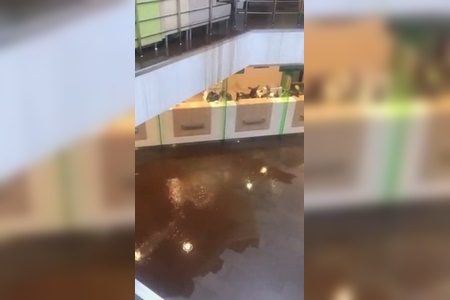 
                    Потоп в «Сбербанке»          