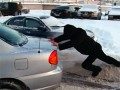 
                    В Андреевке появится снегоплавильная машина          