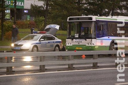 
                    Перепрыгнувший через отбойник пешеход попал под автобус          