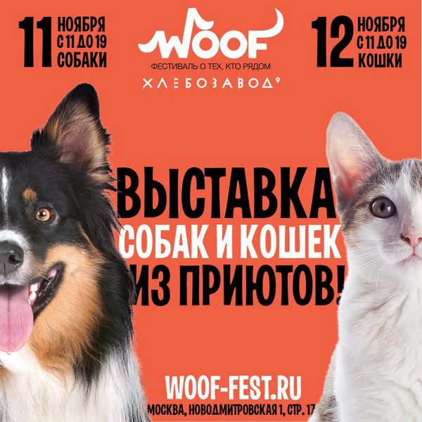 zelenogradskij-blagotvoritel-ny-j-fond-pomoshhi-bezdomny-m-zhivotny-m-nika-provedet-masshtabny-j-festival-woof