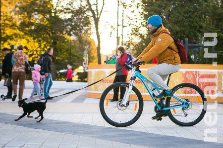 
                    На площади Юности появится пункт проката велосипедов и коньков          