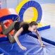 В Зеленограде прошел окружной праздник, посвященный Дню матери