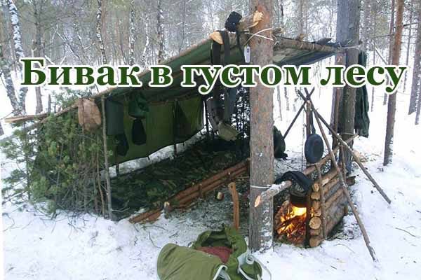 bivak-v-gustom-lesu