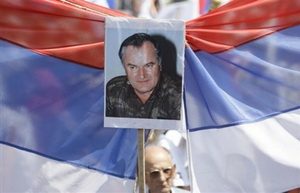 Павел Дорохин: «Борьба за Младича продолжается»