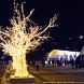 Вечерняя площадь Юности: яркая иллюминация «Путешествия в Рождество»