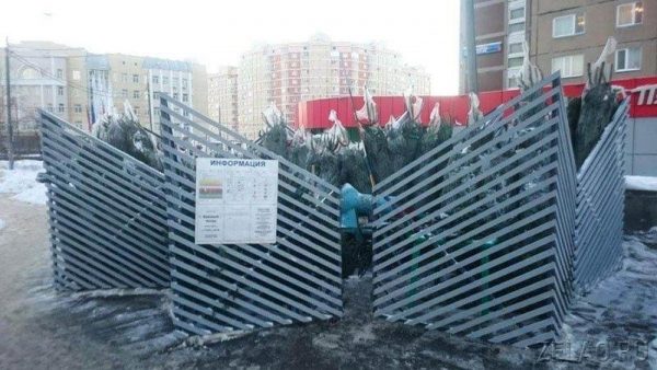 Андреевка откроет рядом с Зеленоградом несколько елочных базаров