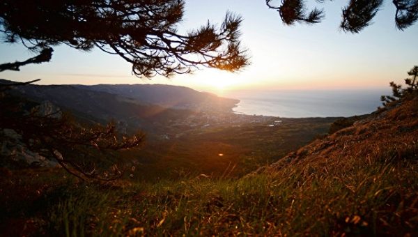 В Крыму прокомментировали принятие ГА ООН украинской резолюции