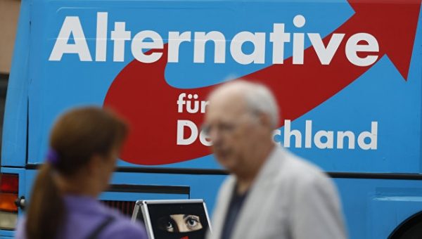 Избран сопредседатель правой партии "Альтернатива для Германии"