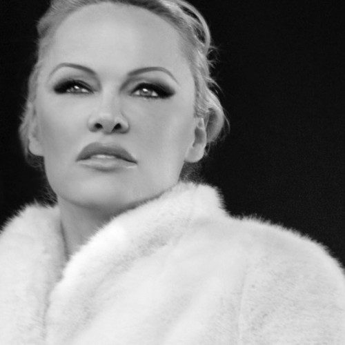 Памела Андерсон осудила жертв Харви Вайнштейна