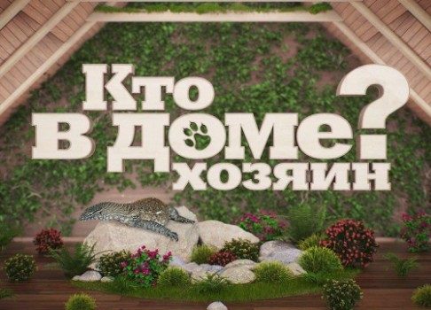 Программа о том, как найти общий язык с питомцами: НТВ запускает проект «Кто в доме хозяин?»