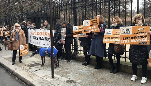 В Париже состоялась акция  против жестокого обращения с собаками-левретками