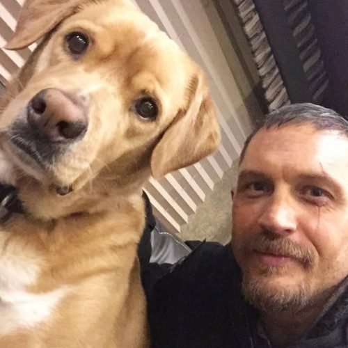 Том Харди спас щенков от смерти