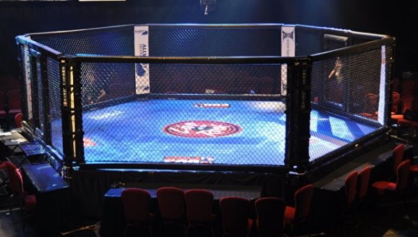 Королевы ринга. Самые красивые и грозные девушки — бойцы UFC