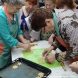 В Зеленограде открылись первые площадки проекта «Москва – город долголетия»
