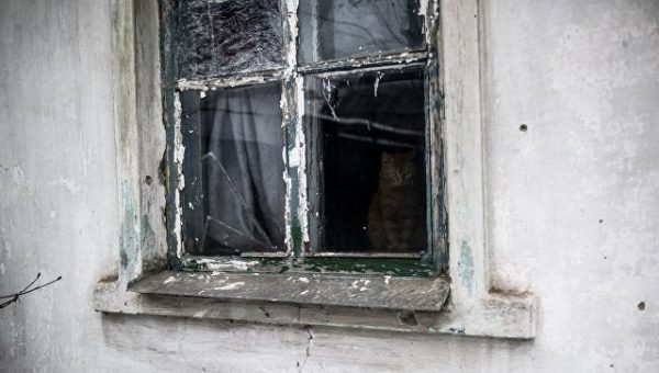 В ДНР заявили, что  силовики пять раз за сутки нарушили перемирие