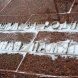 В Зеленограде состоялось возложение цветов в честь годовщины вывода войск из Афганистана