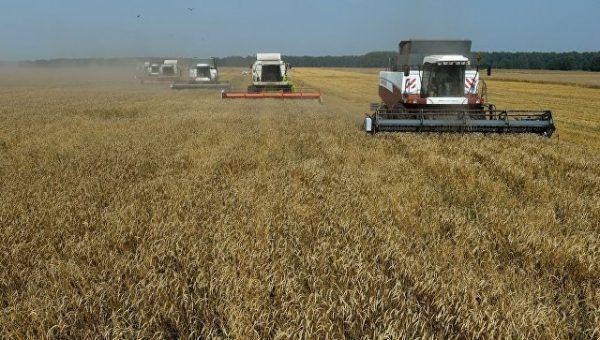 "Пахать и сеять": экс-министр экономики Украины объяснил, зачем Западу Киев