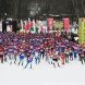 Зеленоградцы пробежали 50-километровый лыжный марафон