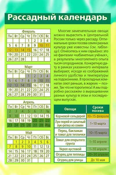 rassadny-j-kalendar-vse-na-dachu