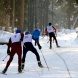 В Зеленограде состоялся костюмированный лыжный забег